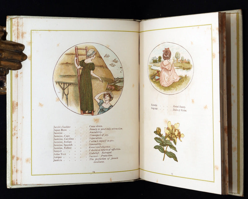 1884 Rare First Edition - Language of Flowers Illustrated by Kate Greenaway