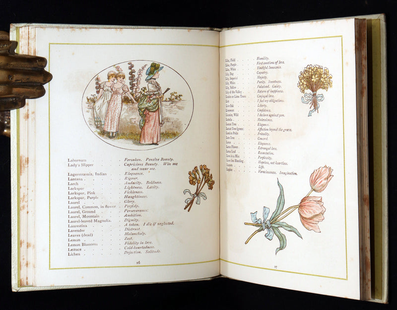 1884 Rare First Edition - Language of Flowers Illustrated by Kate Greenaway