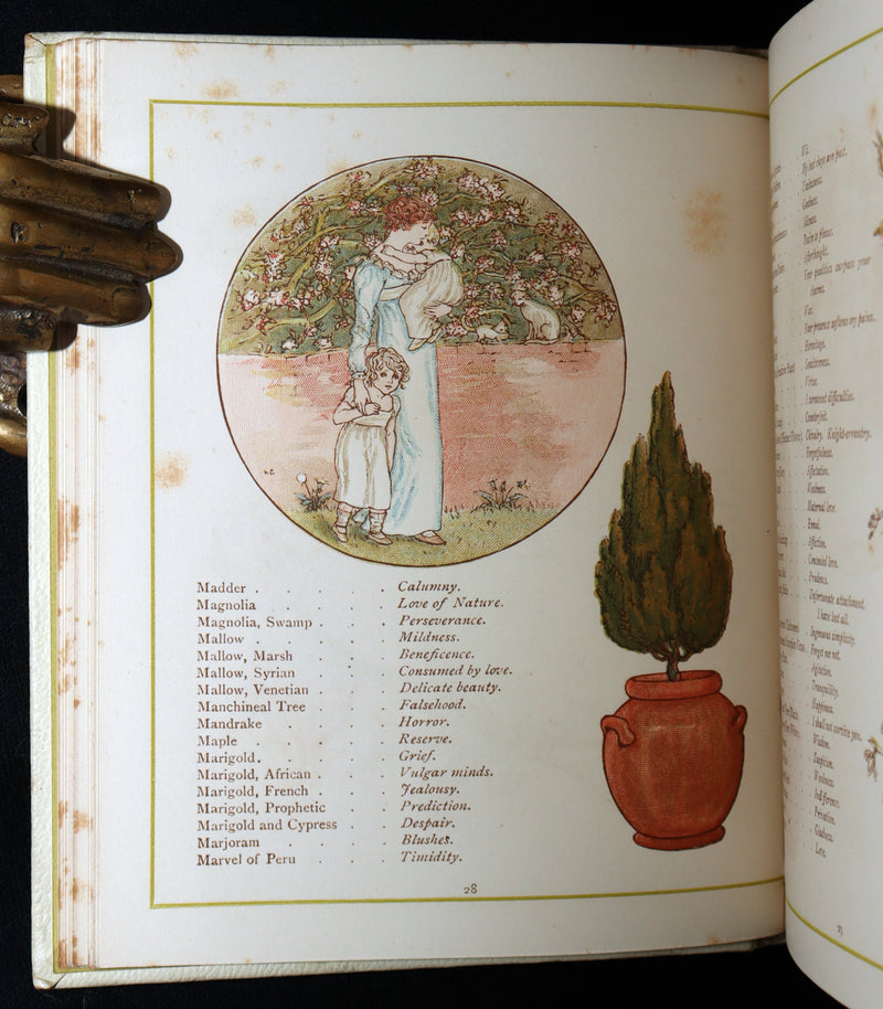1884 Rare First Edition - Language of Flowers Illustrated by Kate Greenaway