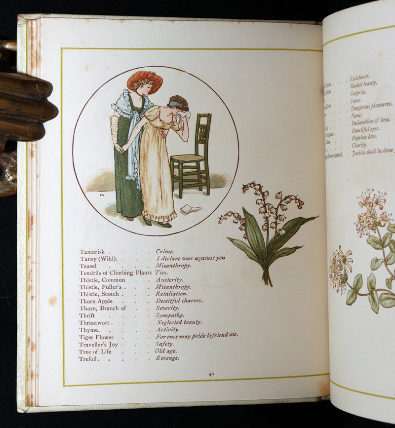 1884 Rare First Edition - Language of Flowers Illustrated by Kate Greenaway