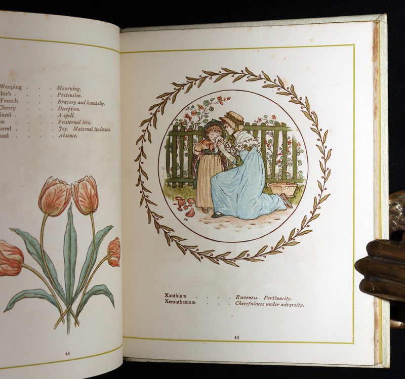 1884 Rare First Edition - Language of Flowers Illustrated by Kate Greenaway