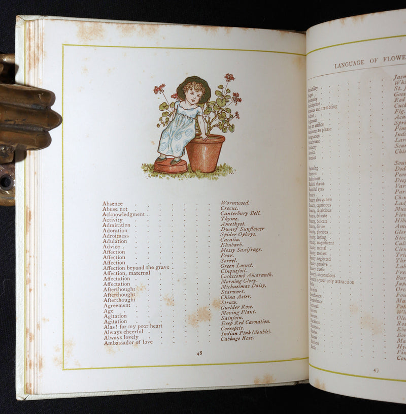 1884 Rare First Edition - Language of Flowers Illustrated by Kate Greenaway