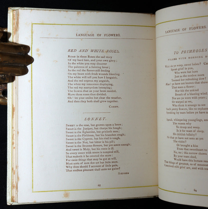 1884 Rare First Edition - Language of Flowers Illustrated by Kate Greenaway