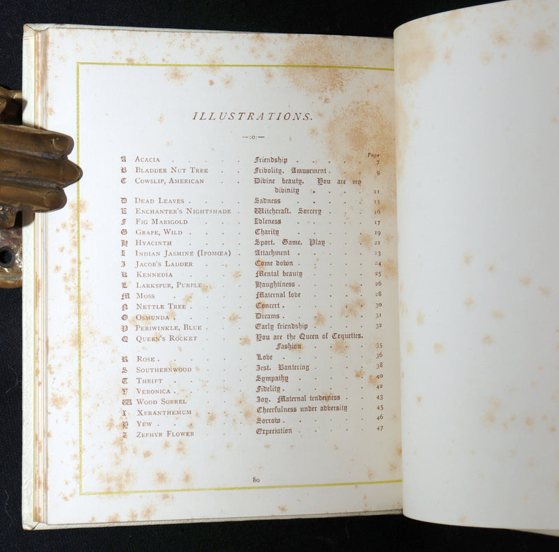 1884 Rare First Edition - Language of Flowers Illustrated by Kate Greenaway