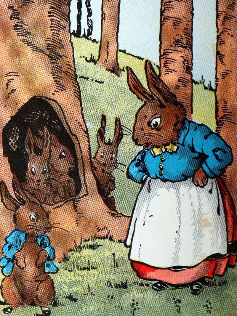 1935 Rare Book with Dust Jacket - How Peter Rabbit Went to Sea by Duff Graham