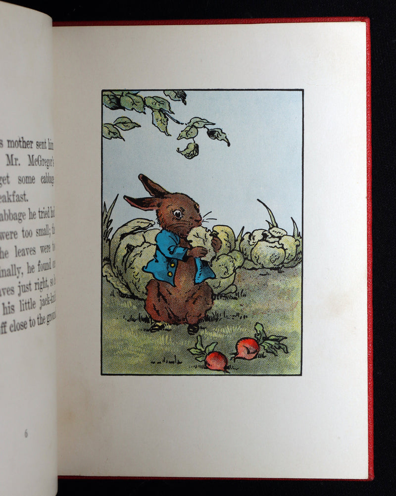 1935 Rare Book with Dust Jacket - How Peter Rabbit Went to Sea by Duff Graham