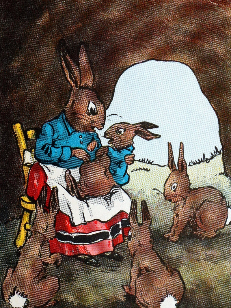 1935 Rare Book with Dust Jacket - How Peter Rabbit Went to Sea by Duff Graham