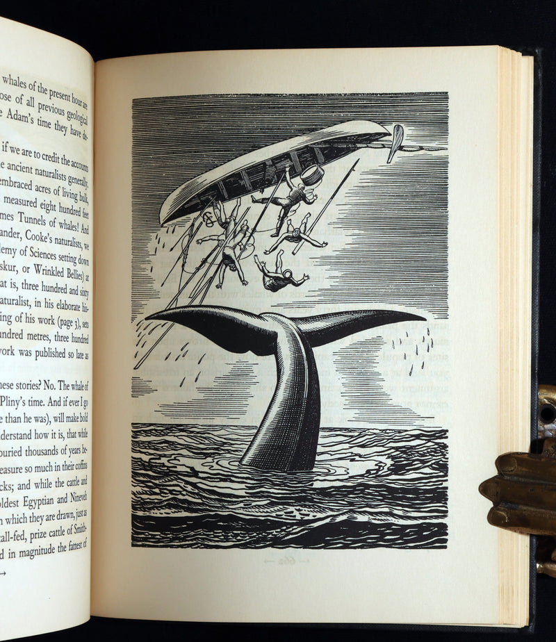 1930 Rare First Edition - Moby Dick by Melville illustrated by Rockwell Kent