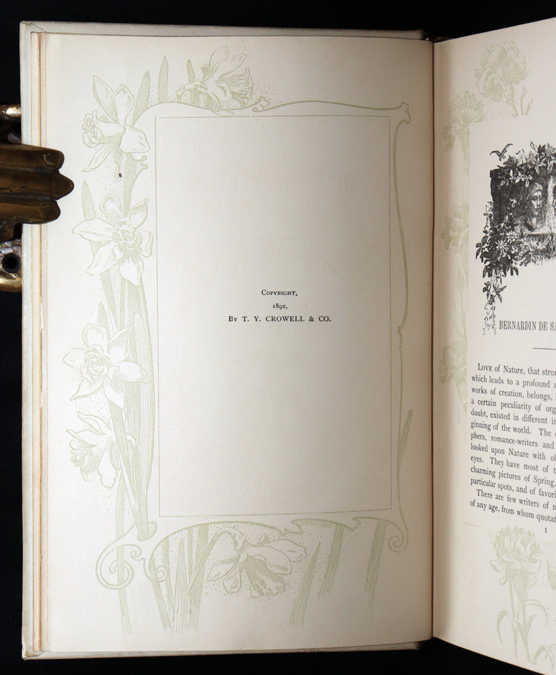 1892 Near Fine Book - Paul and Virginia Illustrated by Maurice Leloir