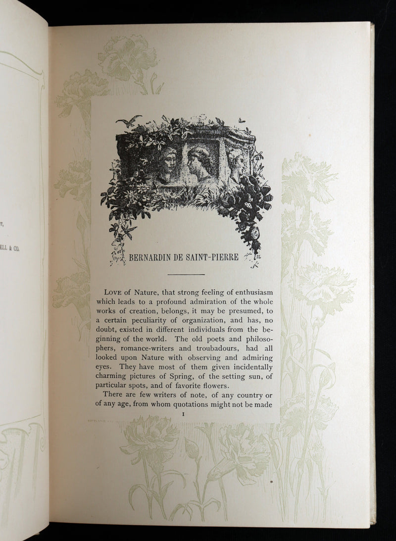 1892 Near Fine Book - Paul and Virginia Illustrated by Maurice Leloir