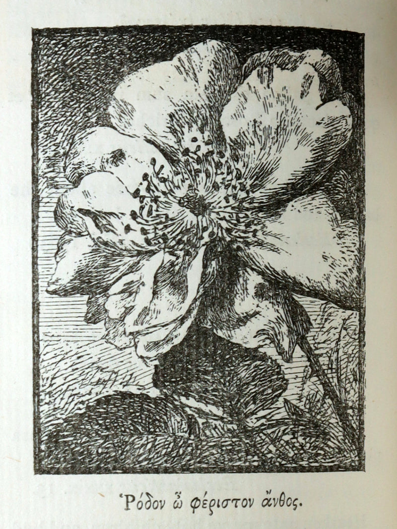 1885 First Edition - The Poetic of the Rose, Ros Rosarum by E.V.B.