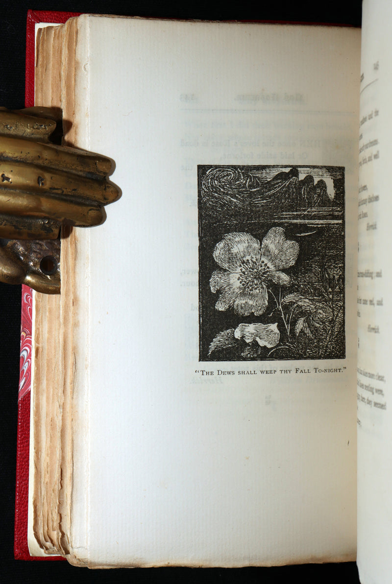 1885 First Edition - The Poetic of the Rose, Ros Rosarum by E.V.B.