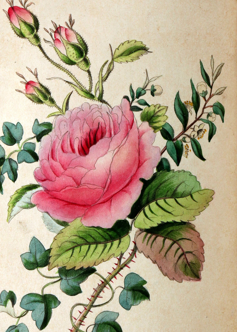 1838 Rare Book - The Sentiment of Flowers; or, Language of Flora, Illustrated
