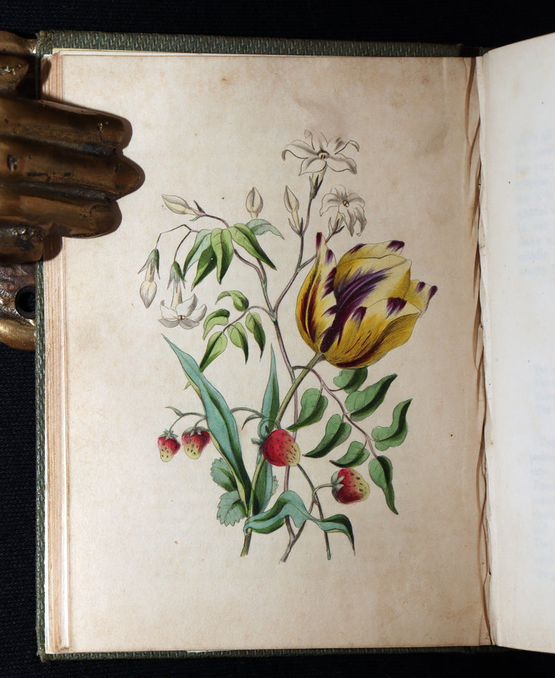 1838 Rare Book - The Sentiment of Flowers; or, Language of Flora, Illustrated