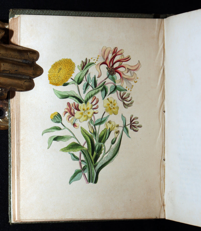 1838 Rare Book - The Sentiment of Flowers; or, Language of Flora, Illustrated