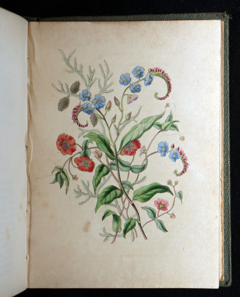 1838 Rare Book - The Sentiment of Flowers; or, Language of Flora, Illustrated