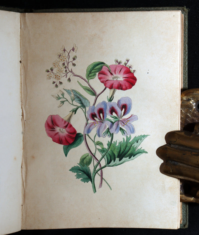 1838 Rare Book - The Sentiment of Flowers; or, Language of Flora, Illustrated