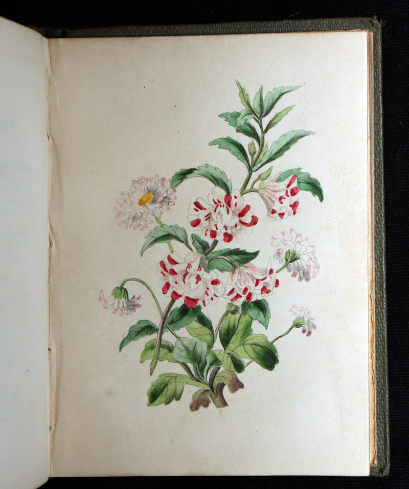 1838 Rare Book - The Sentiment of Flowers; or, Language of Flora, Illustrated