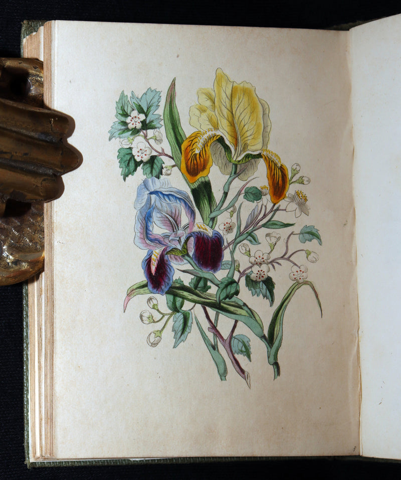 1838 Rare Book - The Sentiment of Flowers; or, Language of Flora, Illustrated