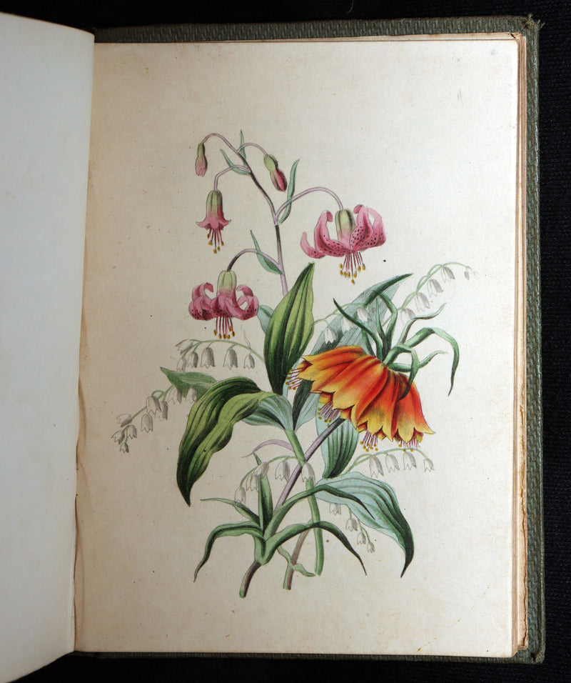 1838 Rare Book - The Sentiment of Flowers; or, Language of Flora, Illustrated