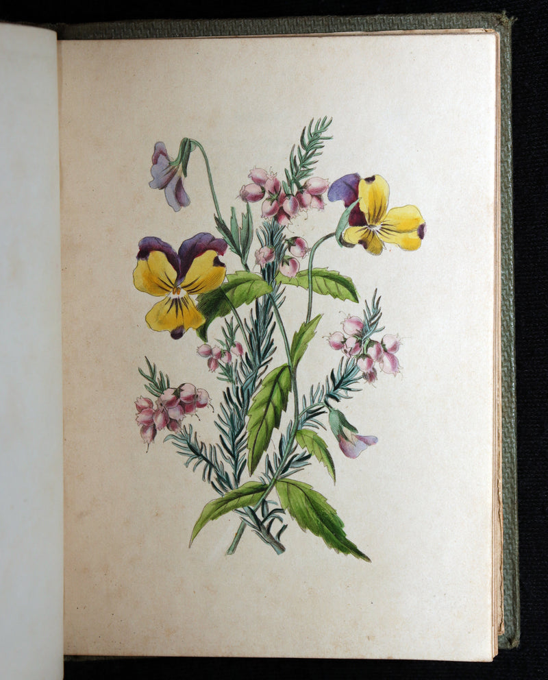 1838 Rare Book - The Sentiment of Flowers; or, Language of Flora, Illustrated
