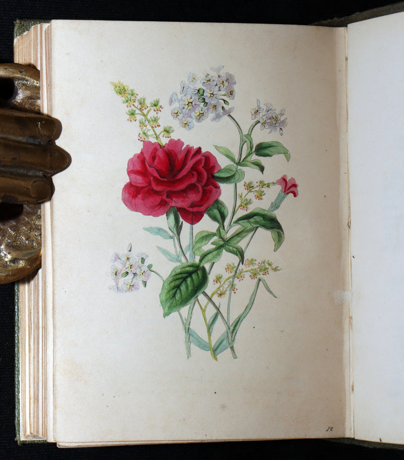 1838 Rare Book - The Sentiment of Flowers; or, Language of Flora, Illustrated