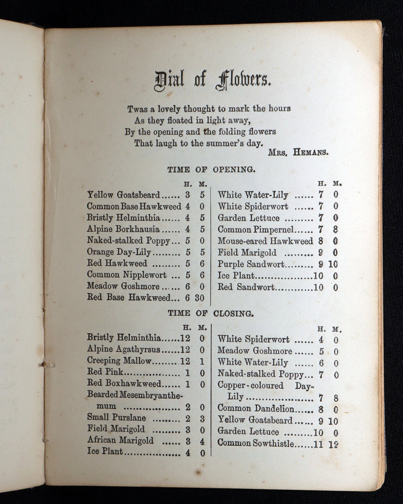 1864 Floriography Book - The Illustrated Language of Flowers by Mrs. L. Burke