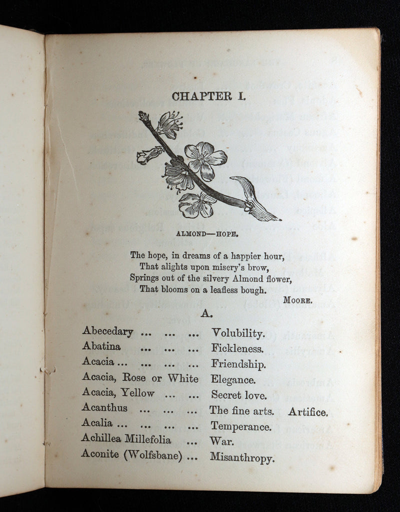 1864 Floriography Book - The Illustrated Language of Flowers by Mrs. L. Burke