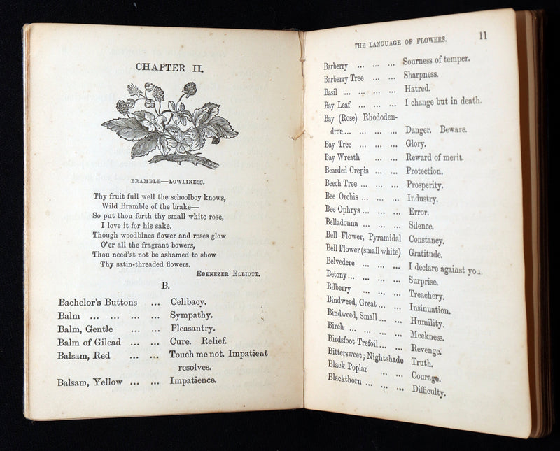 1864 Floriography Book - The Illustrated Language of Flowers by Mrs. L. Burke