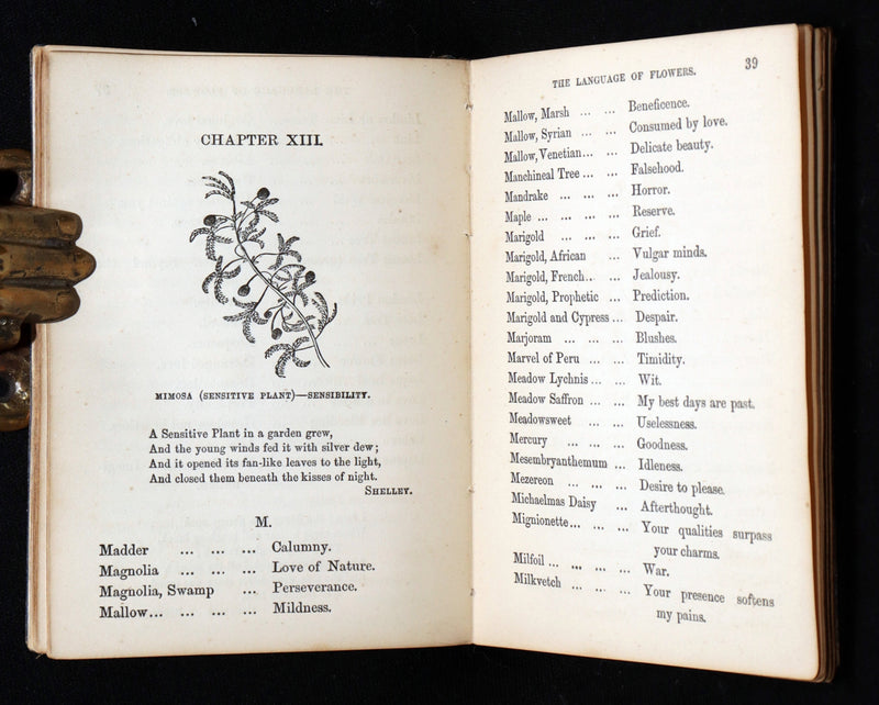 1864 Floriography Book - The Illustrated Language of Flowers by Mrs. L. Burke