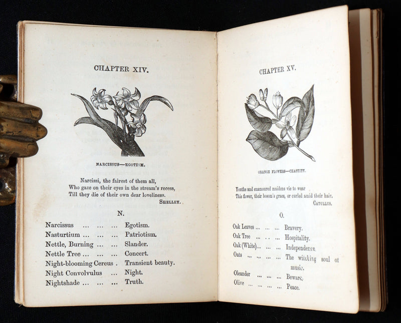 1864 Floriography Book - The Illustrated Language of Flowers by Mrs. L. Burke