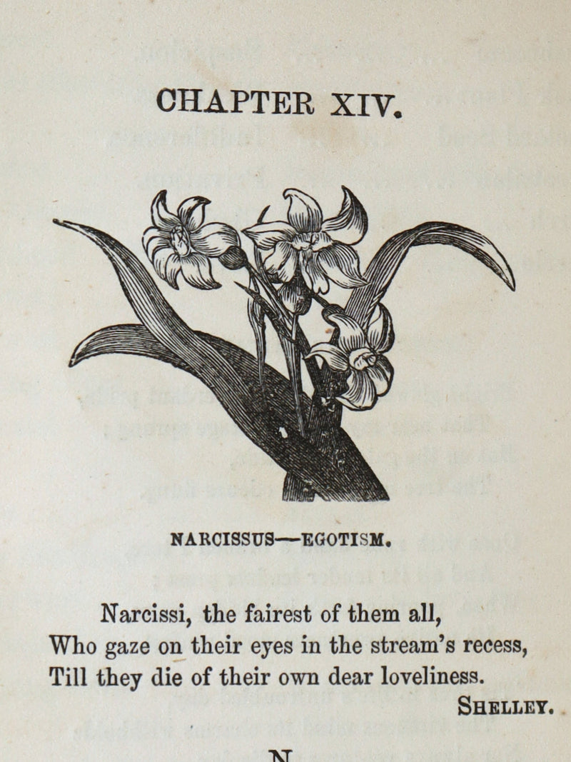 1864 Floriography Book - The Illustrated Language of Flowers by Mrs. L. Burke