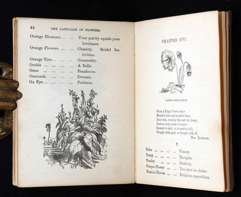 1864 Floriography Book - The Illustrated Language of Flowers by Mrs. L. Burke
