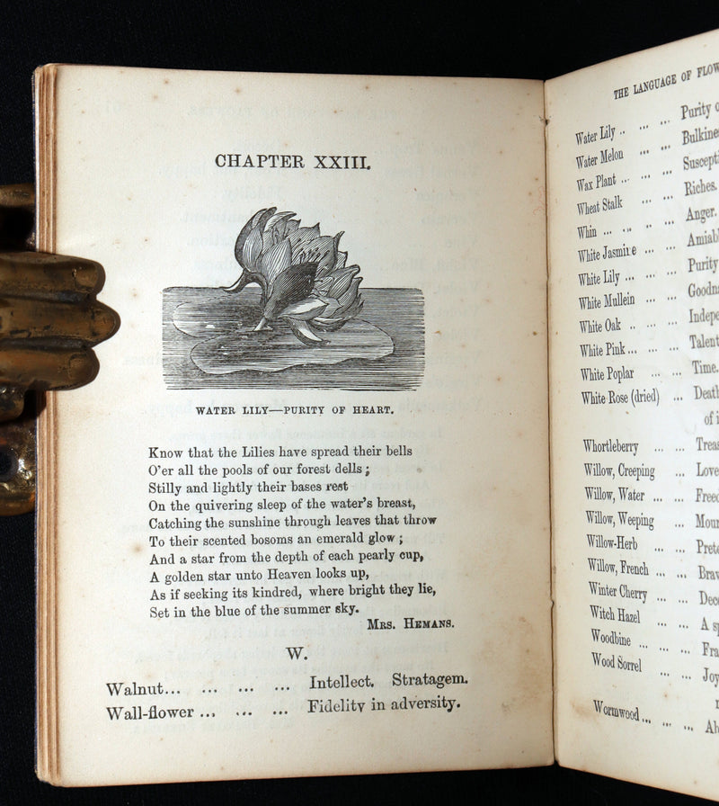 1864 Floriography Book - The Illustrated Language of Flowers by Mrs. L. Burke