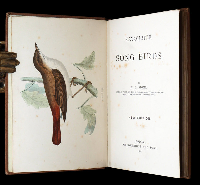 1887 Rare Book - Favourite Song Birds by H. G. Adams, Color Illustrated