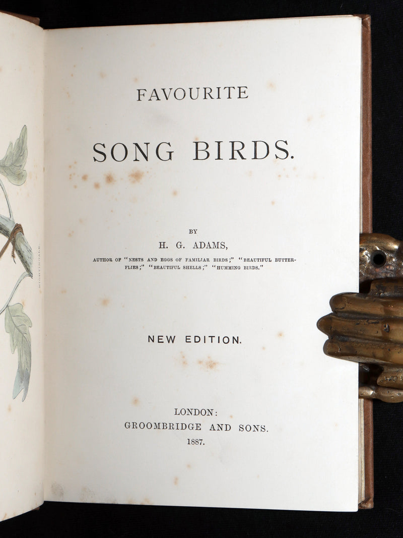 1887 Rare Book - Favourite Song Birds by H. G. Adams, Color Illustrated