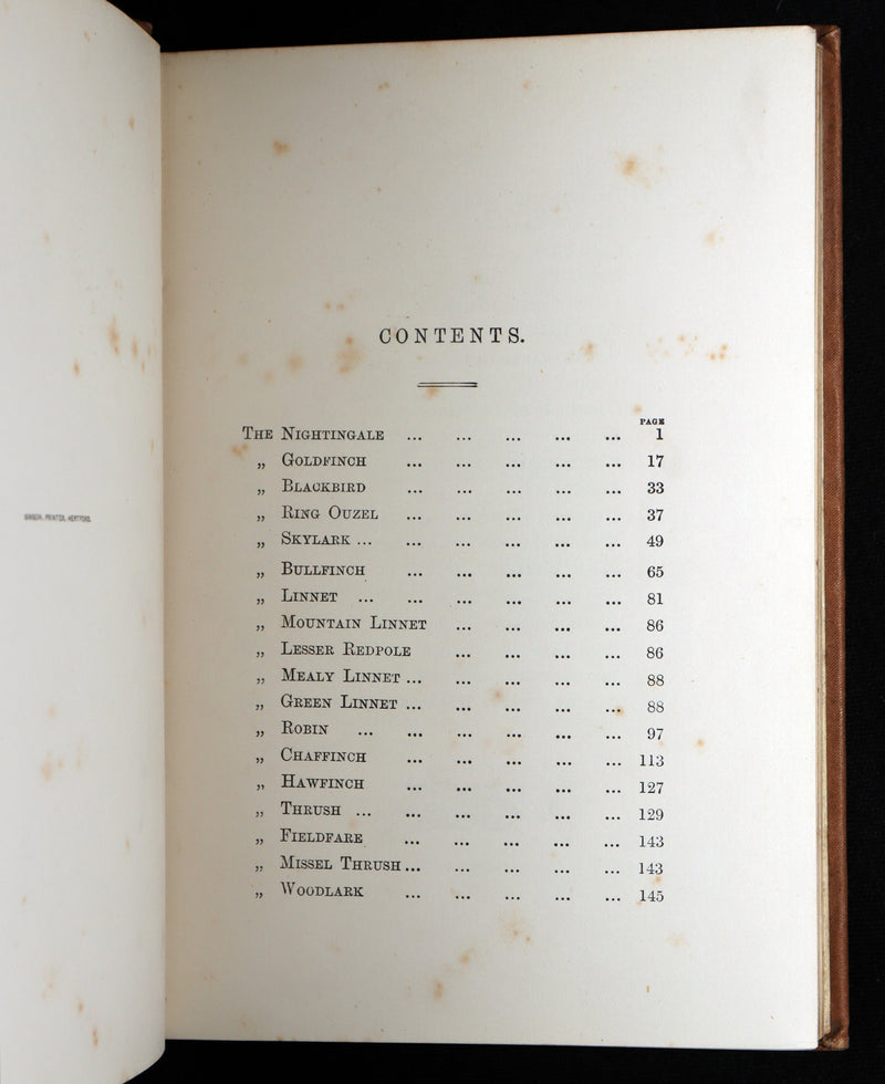 1887 Rare Book - Favourite Song Birds by H. G. Adams, Color Illustrated