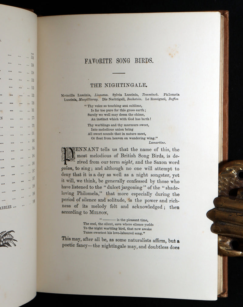 1887 Rare Book - Favourite Song Birds by H. G. Adams, Color Illustrated