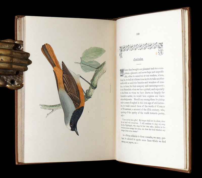 1887 Rare Book - Favourite Song Birds by H. G. Adams, Color Illustrated