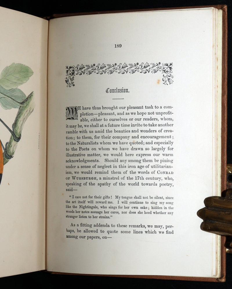 1887 Rare Book - Favourite Song Birds by H. G. Adams, Color Illustrated