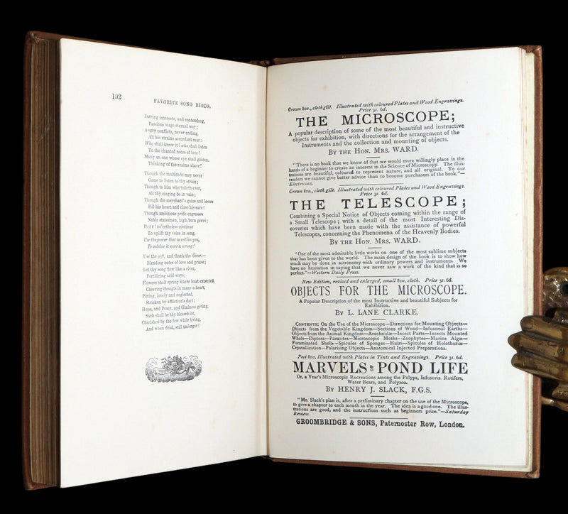 1887 Rare Book - Favourite Song Birds by H. G. Adams, Color Illustrated