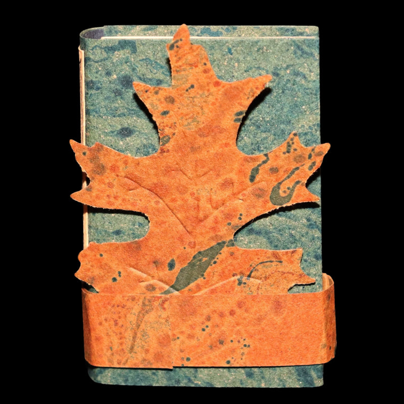 2012 Will o’ the Wisps – Charles van Sandwyk Artist’s Proof Miniature Book