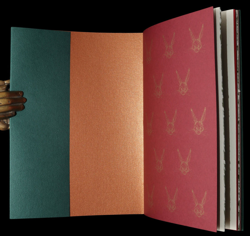 2007 Rare Book Signed Charles van Sandwyk - Mr. Rabbit's Christmas Wish