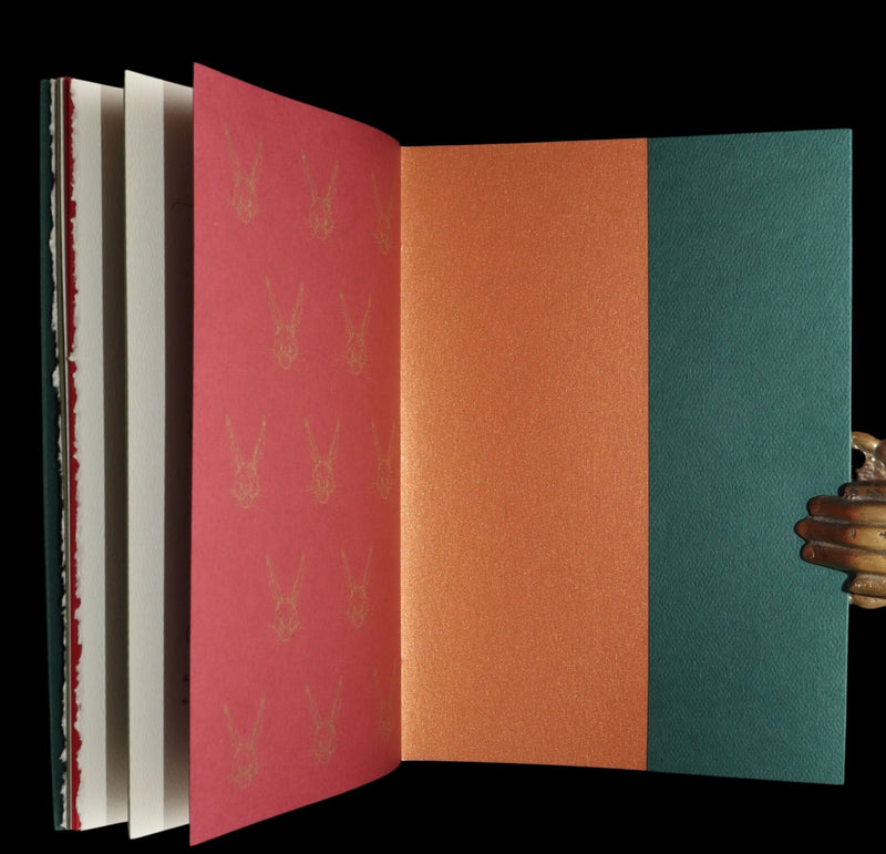 2007 Rare Book Signed Charles van Sandwyk - Mr. Rabbit's Christmas Wish