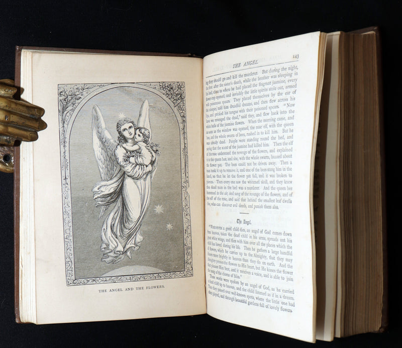 1895 Rare Victorian Book - Hans Christian Andersen's Fairy Tales Illustrated
