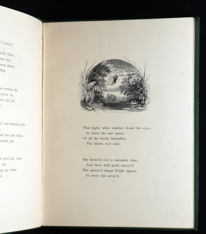 1870 Scarce Victorian Book - Fairy Mary’s Dream by A.F.L., illustrated in Color