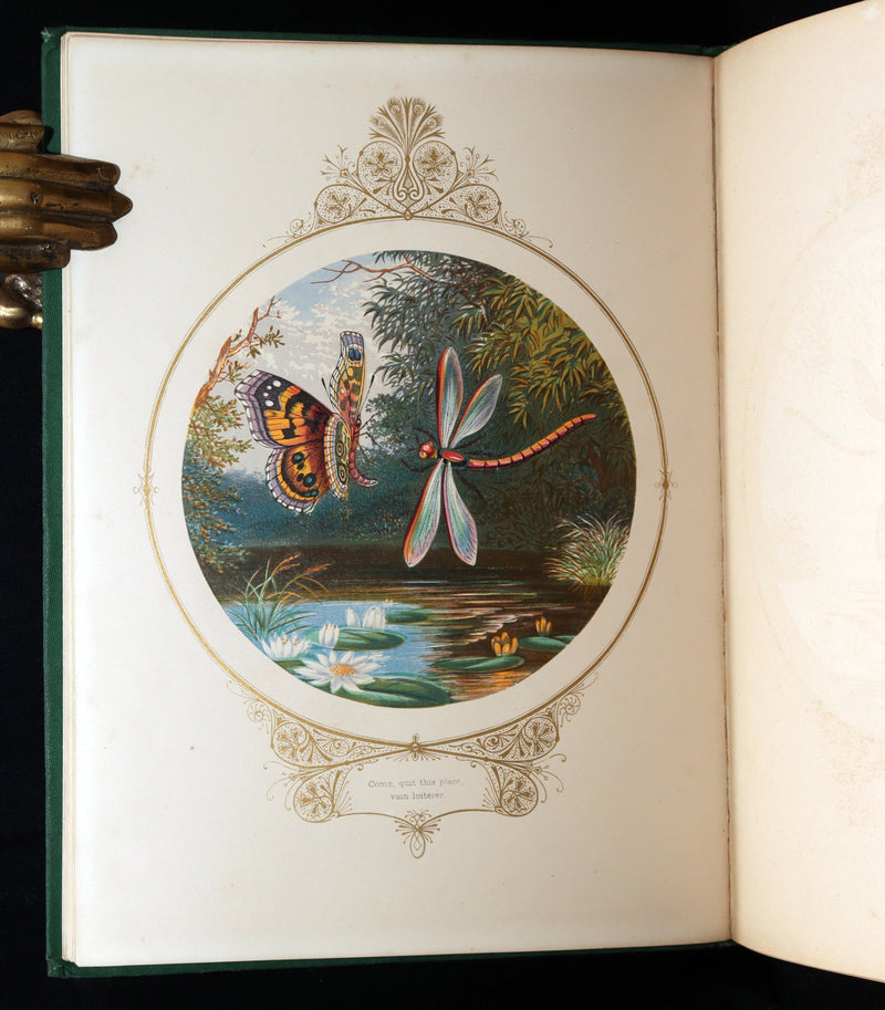 1870 Scarce Victorian Book - Fairy Mary’s Dream by A.F.L., illustrated in Color