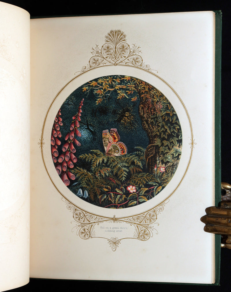 1870 Scarce Victorian Book - Fairy Mary’s Dream by A.F.L., illustrated in Color