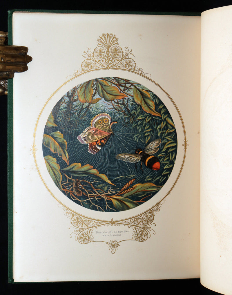 1870 Scarce Victorian Book - Fairy Mary’s Dream by A.F.L., illustrated in Color