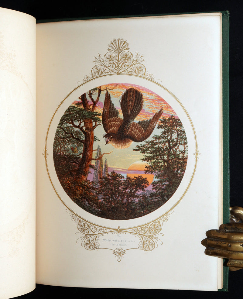 1870 Scarce Victorian Book - Fairy Mary’s Dream by A.F.L., illustrated in Color